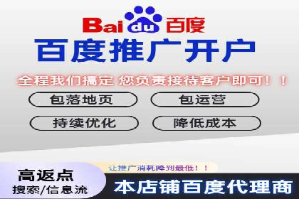 百度广告投放技巧与案例分享